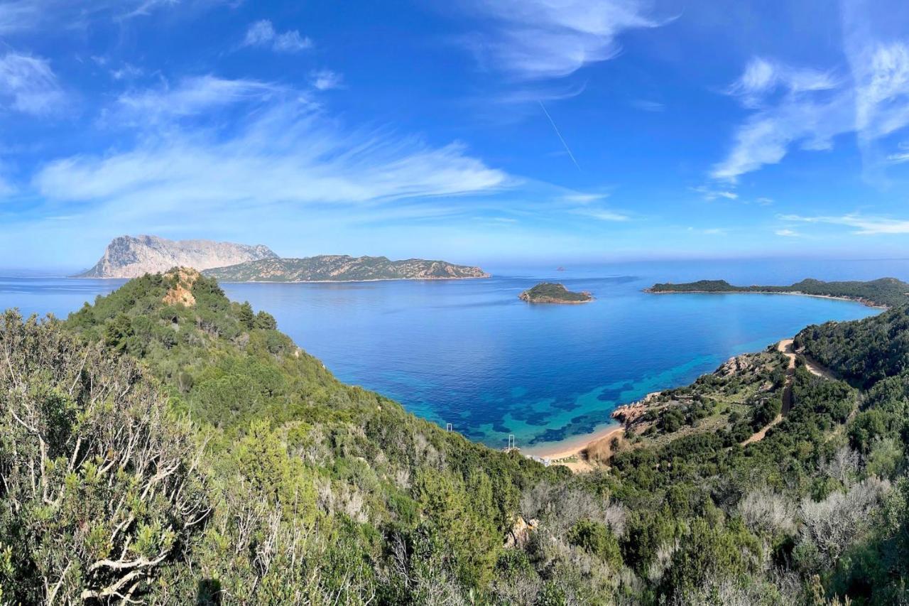 SAN TEODORO PUNTA EST CURATISSIMO BILOCALe Capo Coda Cavallo Exterior foto