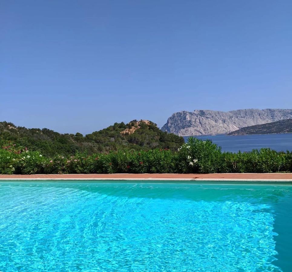 SAN TEODORO PUNTA EST CURATISSIMO BILOCALe Capo Coda Cavallo Exterior foto