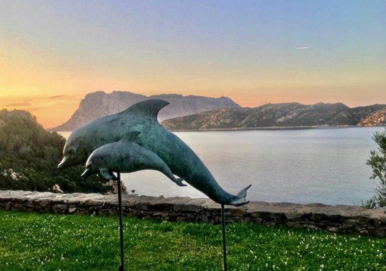 SAN TEODORO PUNTA EST CURATISSIMO BILOCALe Capo Coda Cavallo Exterior foto
