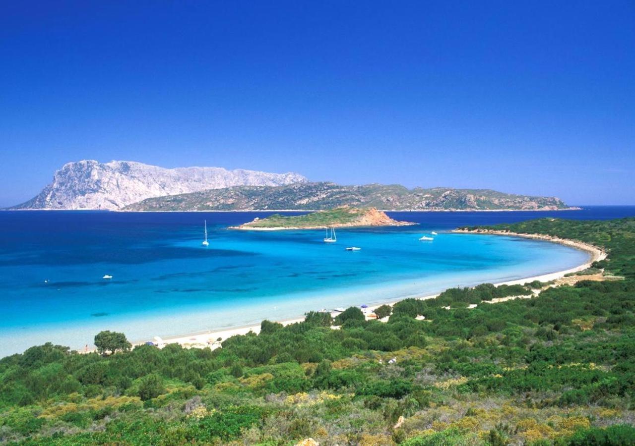 SAN TEODORO PUNTA EST CURATISSIMO BILOCALe Capo Coda Cavallo Exterior foto