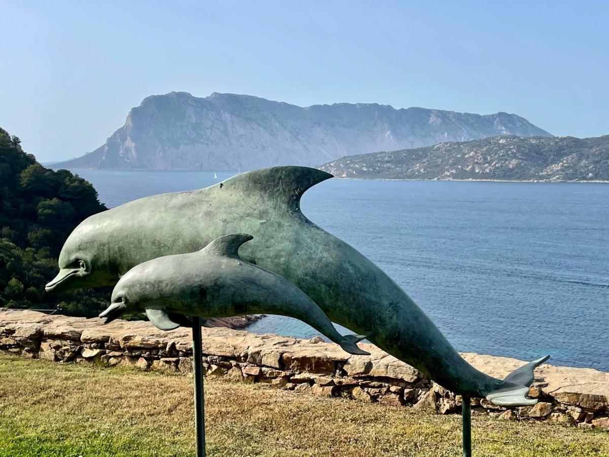 SAN TEODORO PUNTA EST CURATISSIMO BILOCALe Capo Coda Cavallo Exterior foto