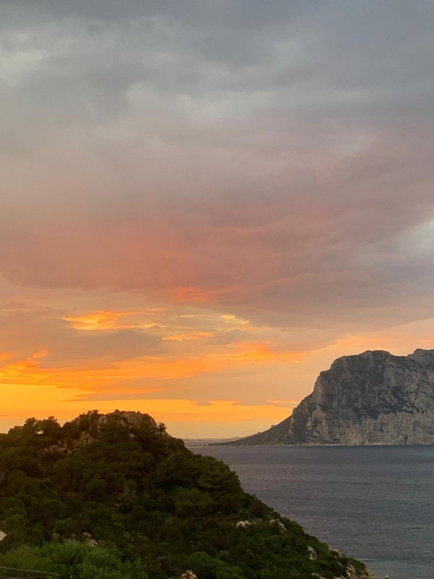 SAN TEODORO PUNTA EST CURATISSIMO BILOCALe Capo Coda Cavallo Exterior foto